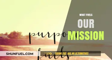 Passion, Purpose, and Progress: The Driving Forces Behind Our Mission