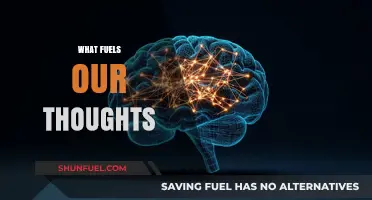 Unveiling the Intricate Forces That Power Our Thoughts and Minds
