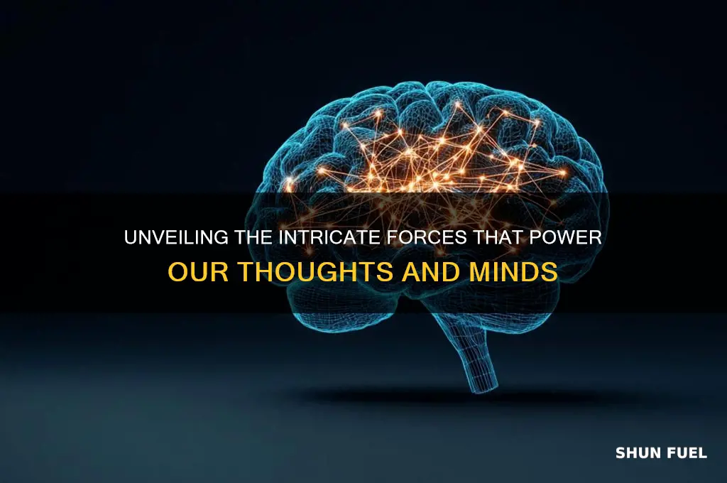what fuels our thoughts