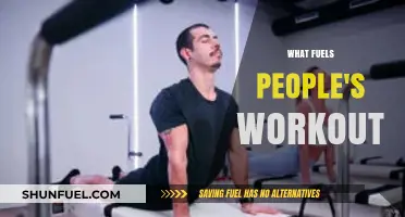 Unleashing Motivation: The Surprising Factors That Fuel People's Workouts