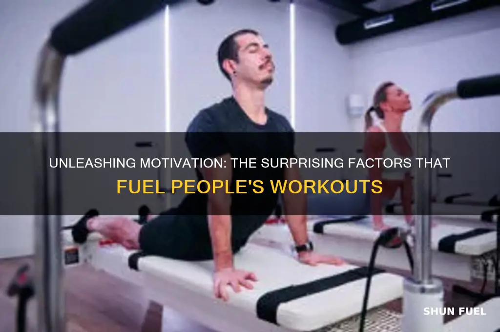 what fuels people