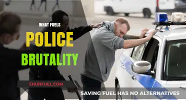 Systemic Racism, Power Abuse, and Lack of Accountability Fuel Police Brutality