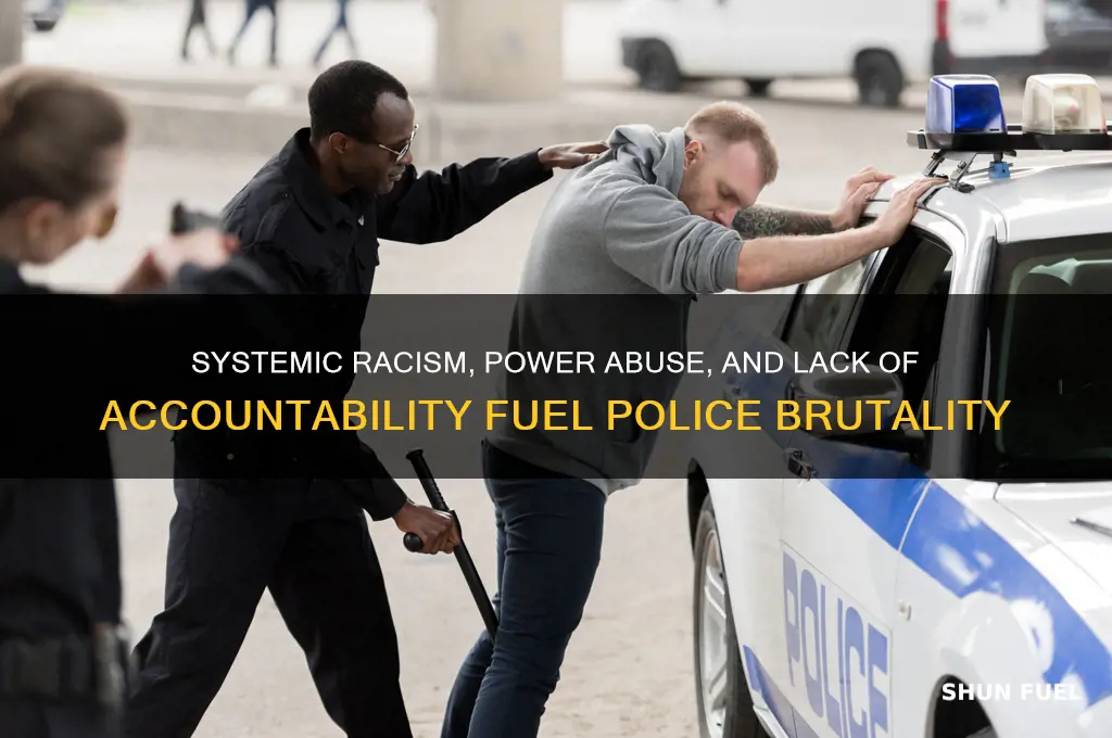 what fuels police brutality