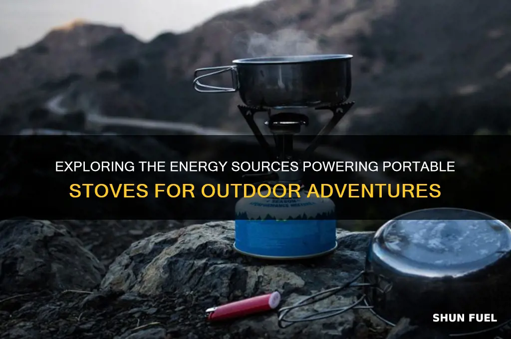 what fuels portable stoves