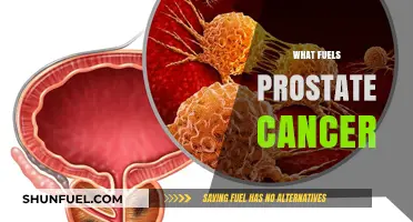 Unraveling the Complex Factors That Fuel Prostate Cancer Growth