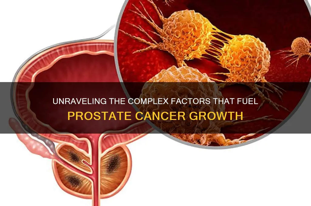 what fuels prostate cancer