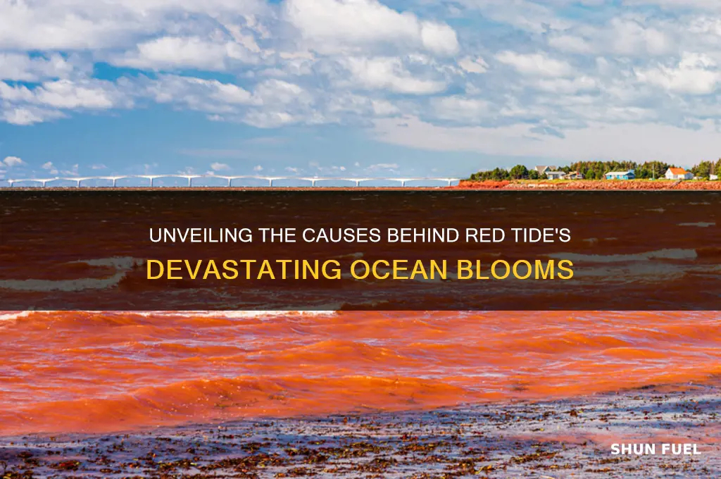 what fuels red tide