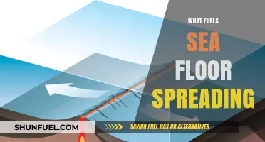 Unveiling the Forces Driving Sea Floor Spreading and Earth's Evolution
