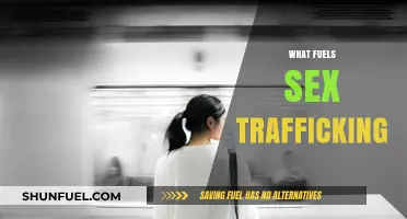 Exposing the Dark Drivers Behind the Sex Trafficking Industry