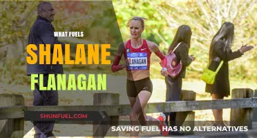 Shalane Flanagan's Drive: Passion, Perseverance, and Pursuit of Excellence