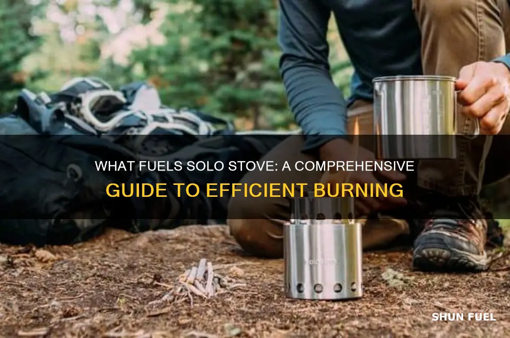 what fuels solo stove