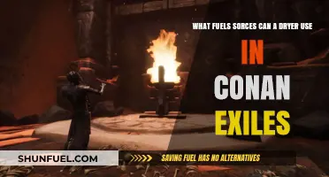 Conan Exiles Dryer Fuel Sources: Options and Efficiency Explained