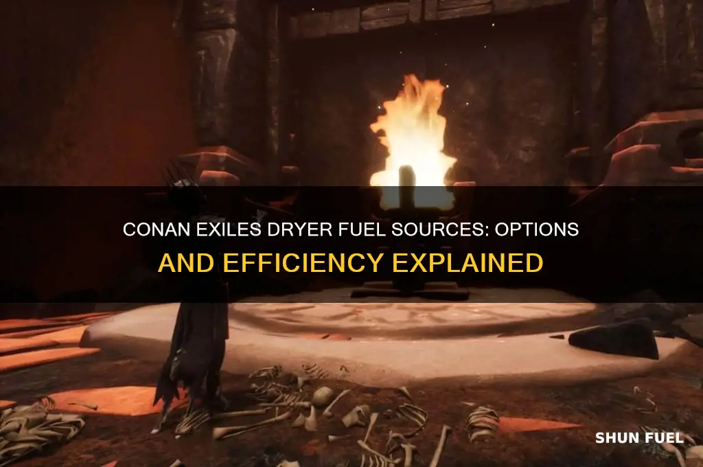 what fuels sorces can a dryer use in conan exiles