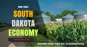 Agriculture, Tourism, and Industry: The Driving Forces Behind South Dakota's Economy