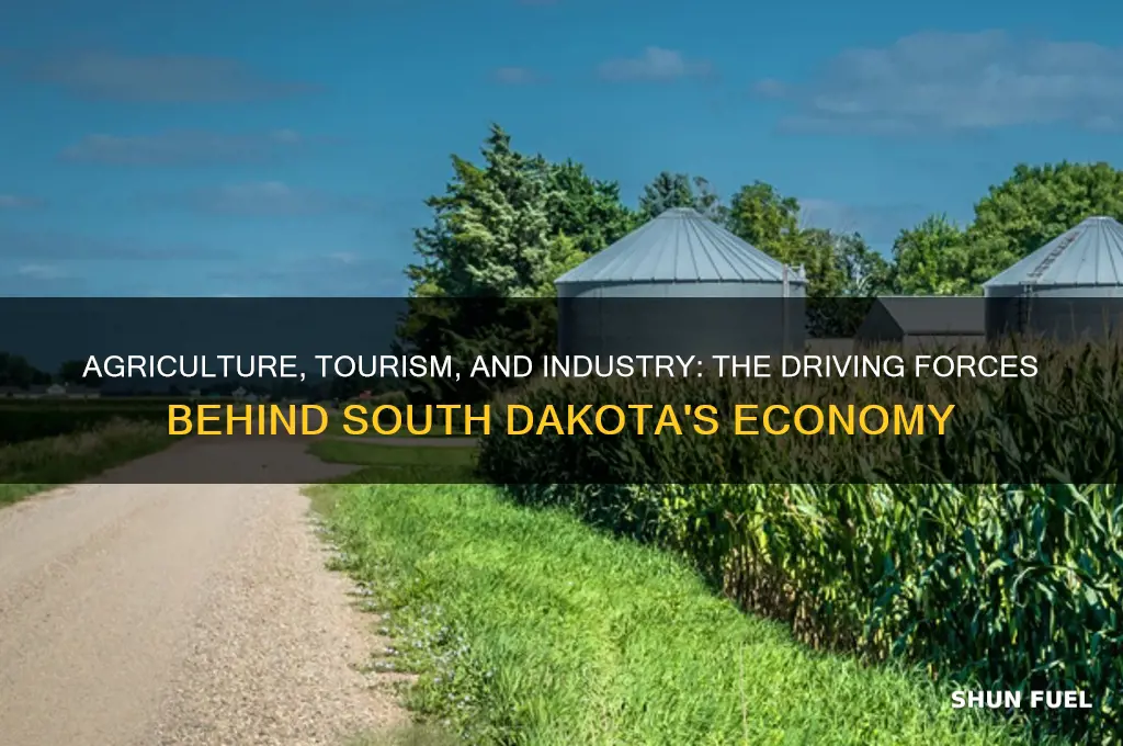 what fuels south dakota economy