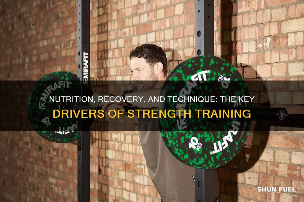 what fuels strength training