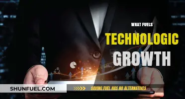 Innovation, Investment, and Ingenuity: The Drivers of Technological Growth