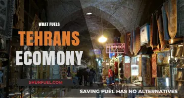 Driving Forces Behind Tehran's Thriving Economy: Key Sectors and Growth Factors