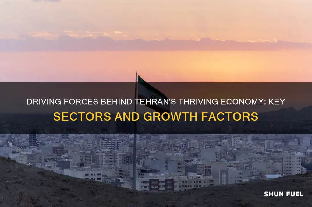 what fuels tehrans ecomony