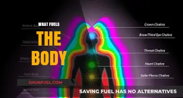 Nutrition Essentials: Unlocking Energy Sources That Fuel Your Body