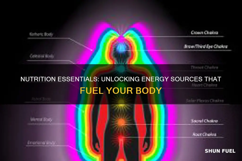 what fuels the body