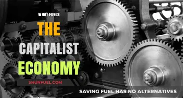 Consumer Demand, Innovation, and Profit: The Engines of Capitalism