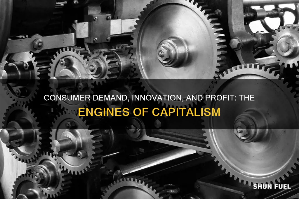 what fuels the capitalist economy