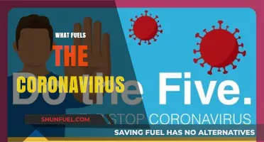 Unraveling the Factors Driving the Spread and Persistence of Coronavirus
