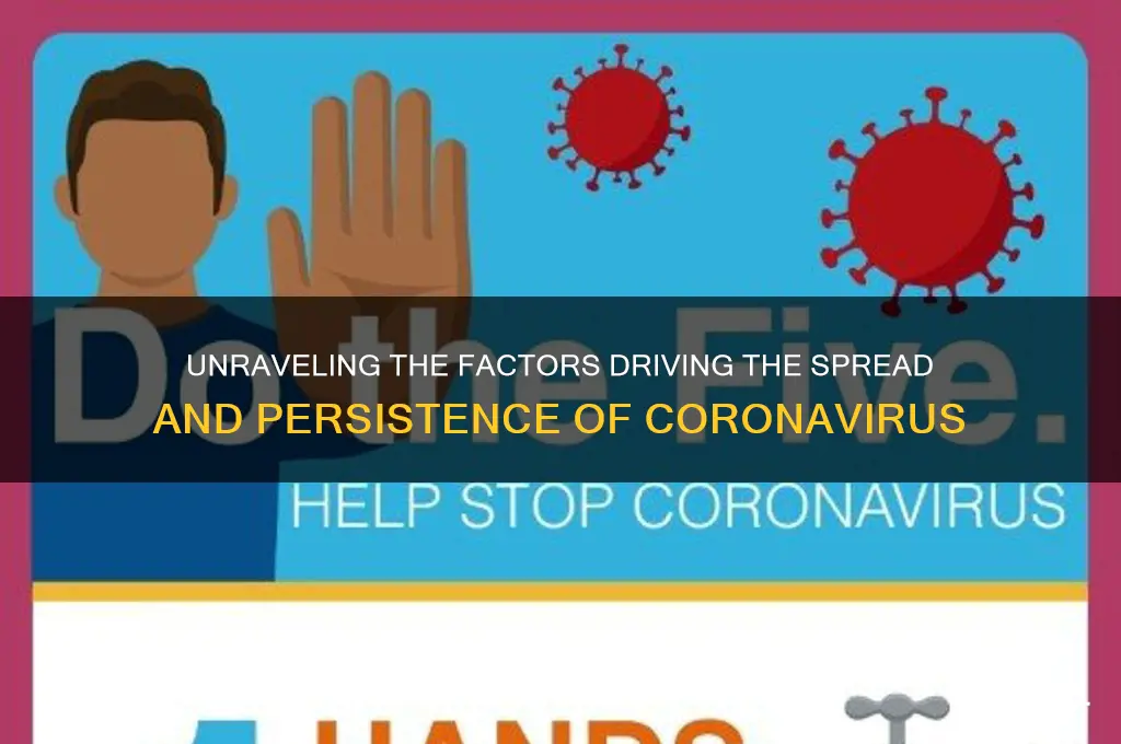 what fuels the coronavirus