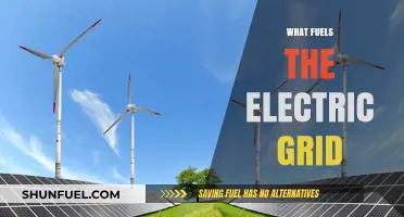 Powering the Future: Exploring the Diverse Sources of Electric Grid Energy
