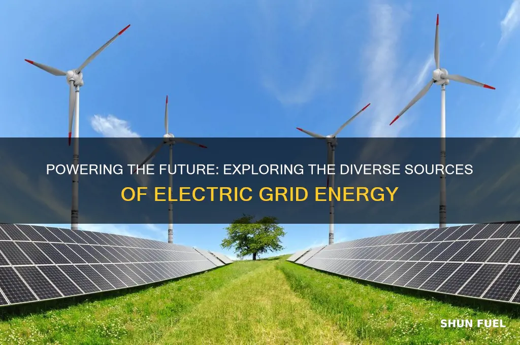 what fuels the electric grid