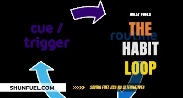 Unraveling the Habit Loop: Triggers, Rewards, and Repetition Explained