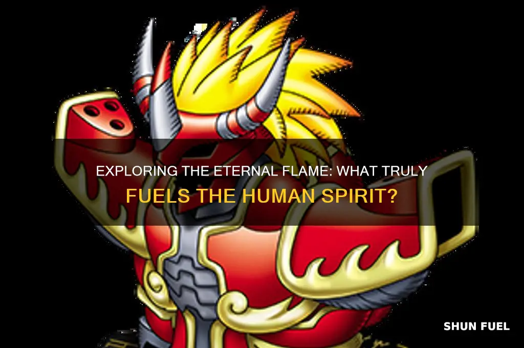 what fuels the human spirit