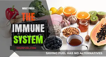 Nutrition, Lifestyle, and Immunity: Unlocking the Secrets to a Strong Defense