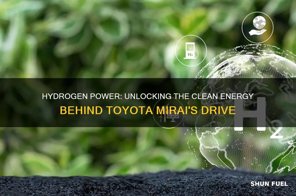 what fuels the mirai