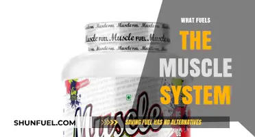 Unleashing Power: Exploring the Essential Fuels for Optimal Muscle Function