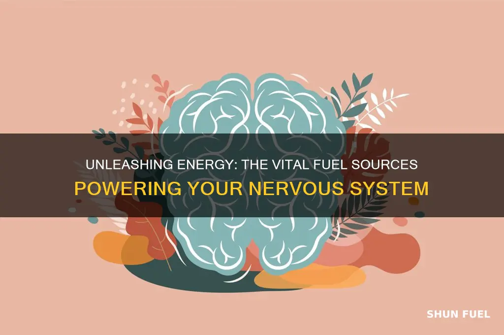 what fuels the nervous system