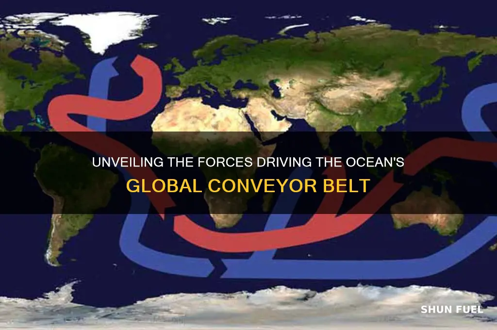 what fuels the ocean conveyor