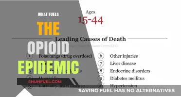 Unraveling the Opioid Crisis: Root Causes and Driving Forces Explained