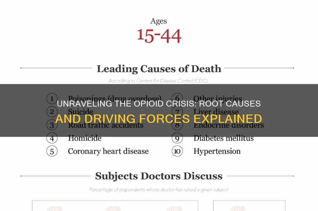 what fuels the opioid epidemic