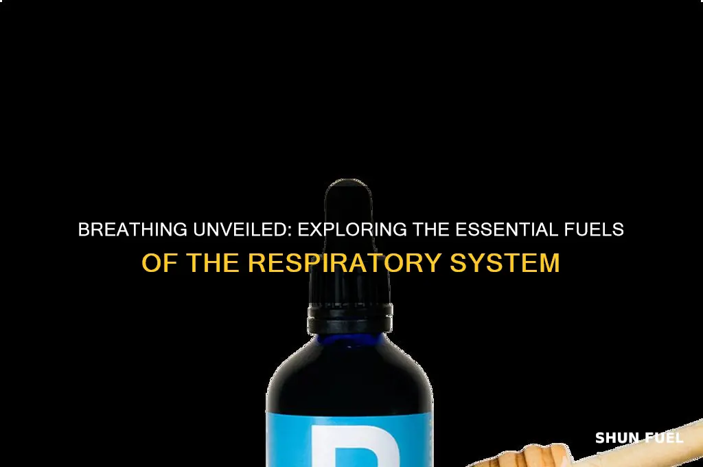what fuels the respiratory system
