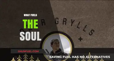 Nourishing Your Inner Fire: Discovering What Truly Fuels the Soul