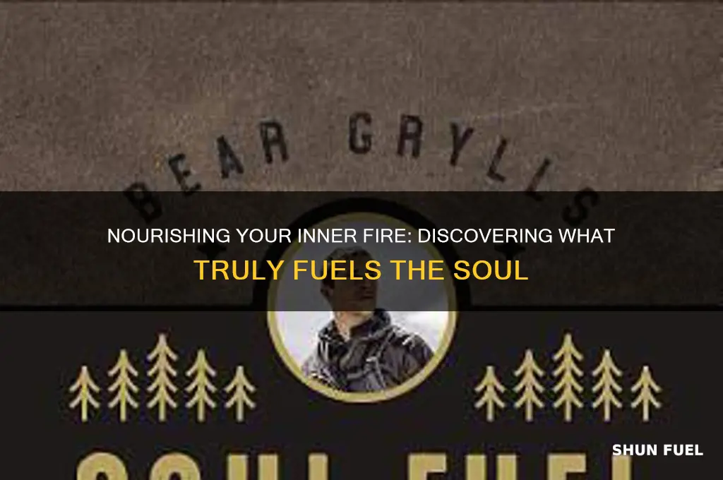 what fuels the soul