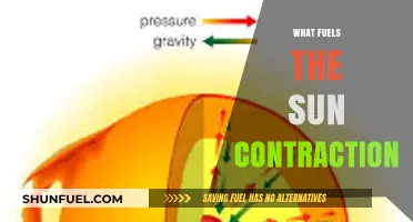 Unveiling the Cosmic Forces Behind the Sun's Contraction