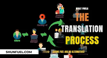 Unveiling the Key Drivers Behind the Translation Process