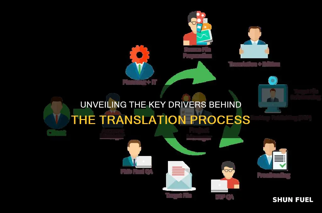what fuels the translation process