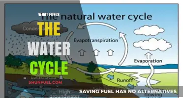 Sun's Power: Driving Force Behind Earth's Continuous Water Cycle