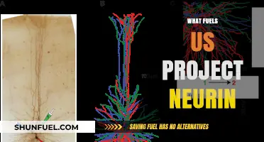 Unveiling the Driving Forces Behind Project Neurin's Innovation and Impact