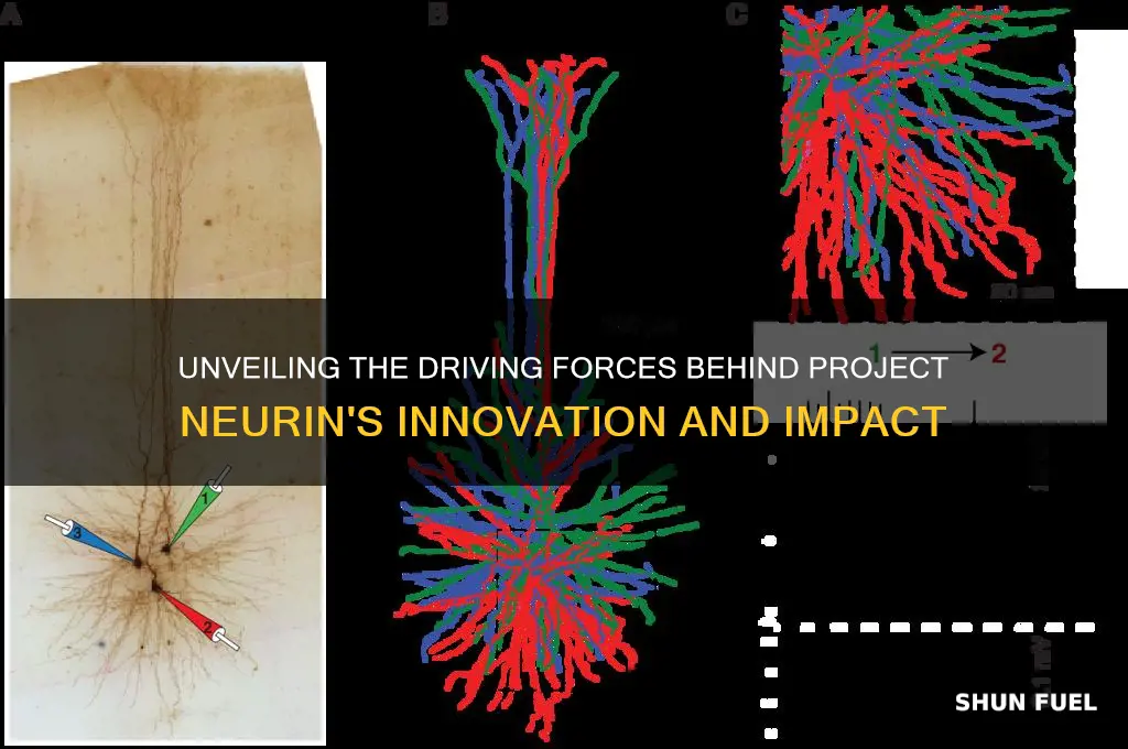 what fuels us project neurin