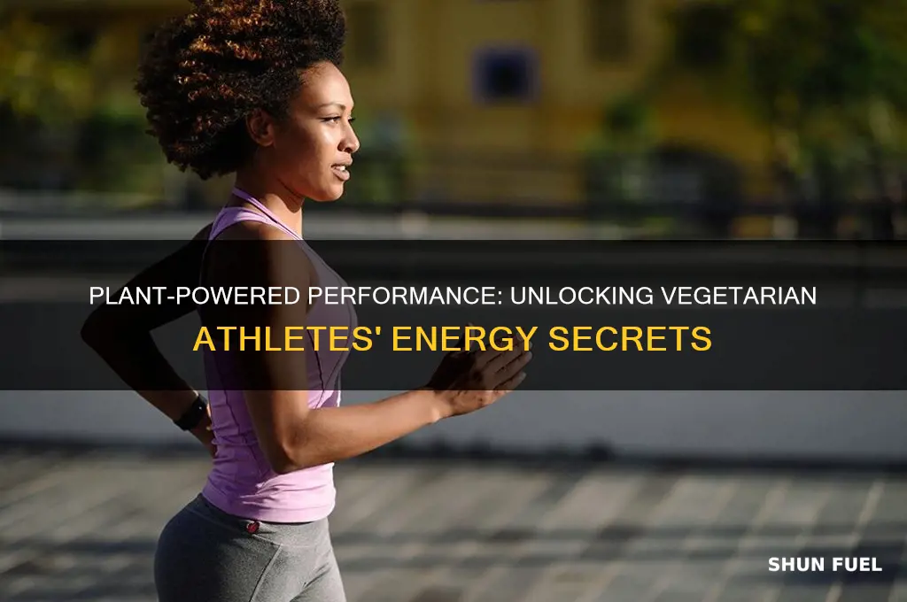 what fuels vegaterian athletes